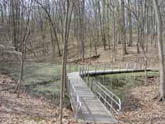 Black Pond, Black Pond Nature Area, 10 April 2010
